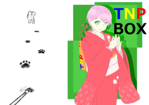 TNPBOX2017ver.Winter